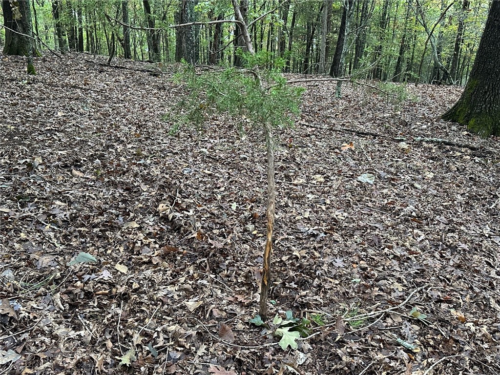 Music Creek Ranch Unrecd - Land