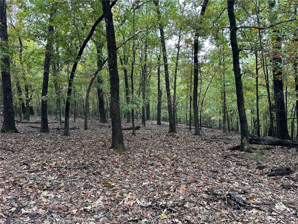 Music Creek Ranch Unrecd - Land