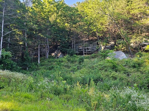 Photo of 14727 State Highway 59, Noel, MO 64854 (MLS # 1362779)