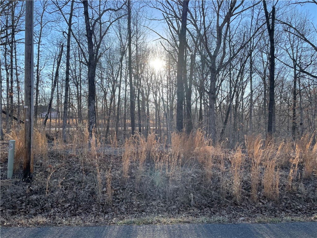 A gentle slope front to back- near new fire station & Branchwood Recreation Center. Enjoy golfing, swimming, lakes, tennis, bike and nature trails, recreation centers, disc golf, gun range and much more!