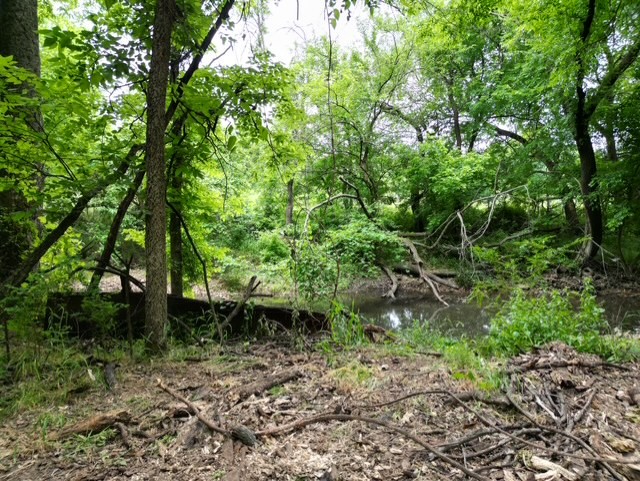 Maysville Orig Rev Rurban - Land