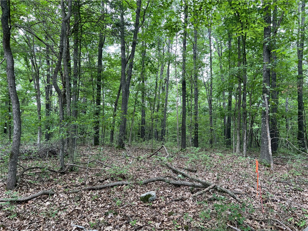 Possible Owner Financing Available!! Nice level building site on 6 Acres with large trees and NO Restrictions. This is must see if you are looking for a pretty wooded spot to build.