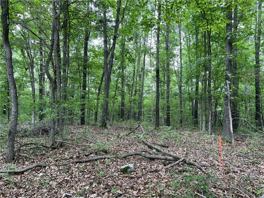 Possible Owner Financing Available!!  Nice level building site on 6 Acres with large trees and NO Restrictions. This is must see if you are looking for a pretty wooded spot to build.