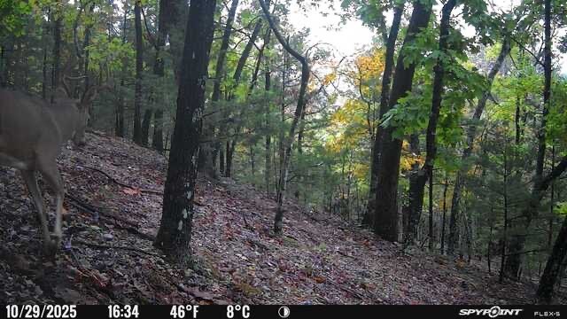 Moulder Hollow Sec V Rurban - Land