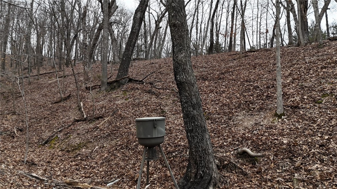 Moulder Hollow Sec V Rurban - Land