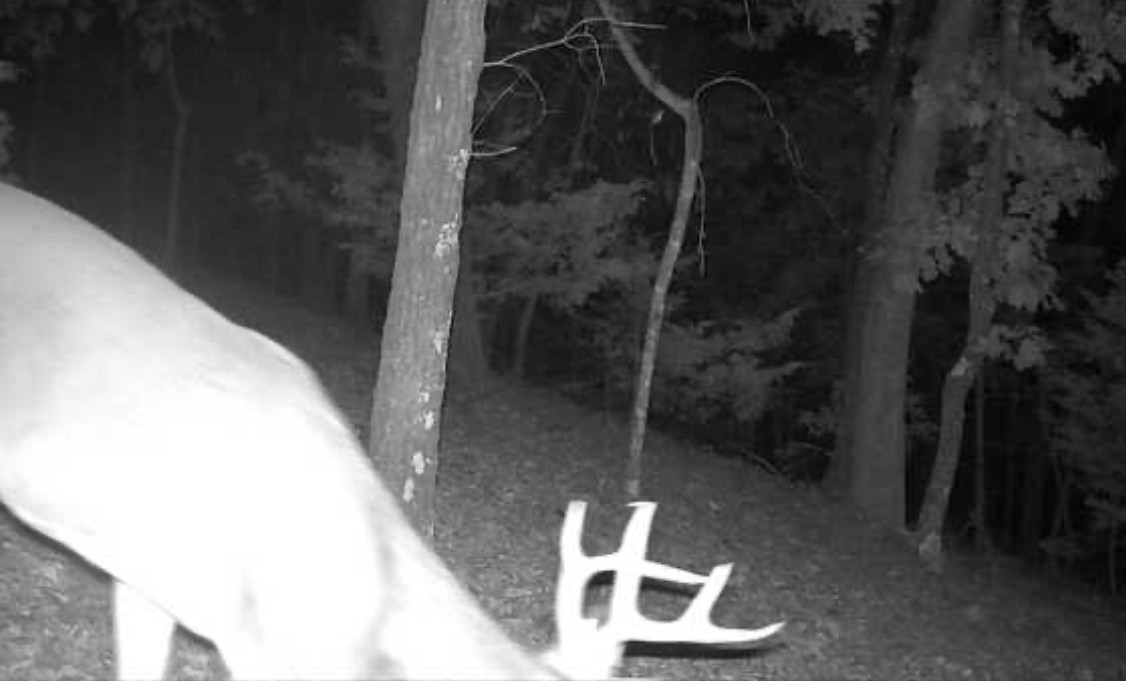 Moulder Hollow Sec V Rurban - Land