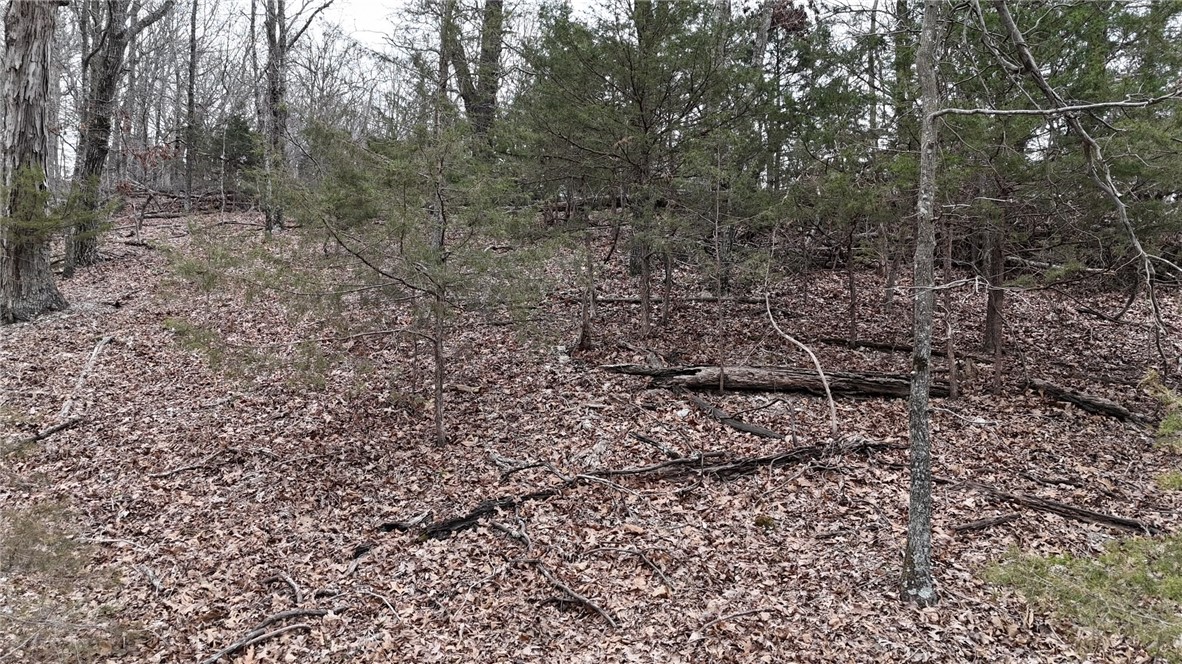 Moulder Hollow Sec V Rurban - Land