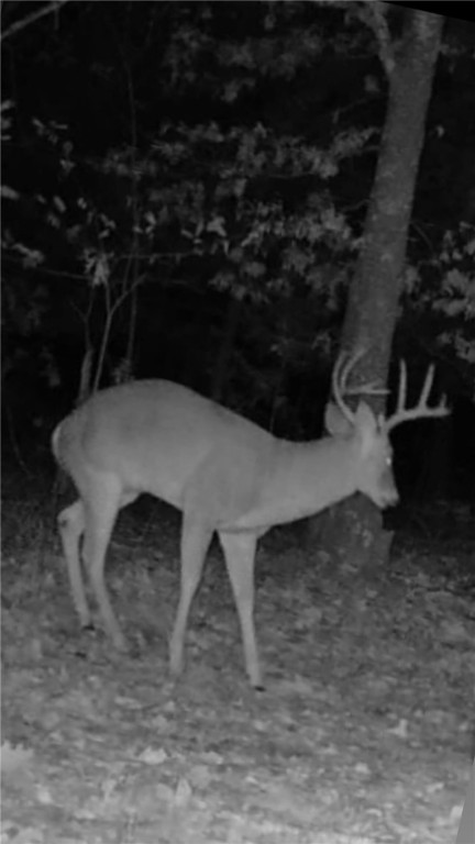 Moulder Hollow Sec V Rurban - Land