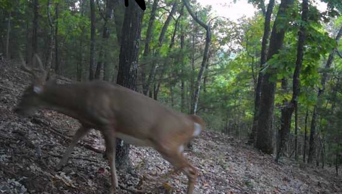 Moulder Hollow Sec V Rurban - Land