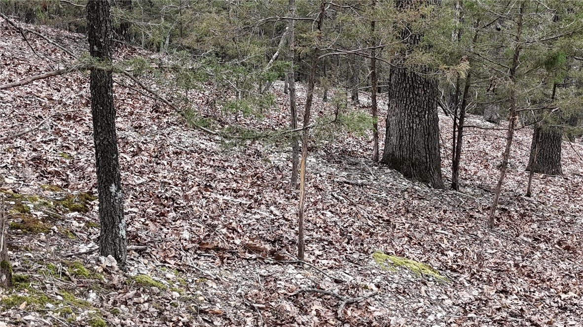 Moulder Hollow Sec V Rurban - Land