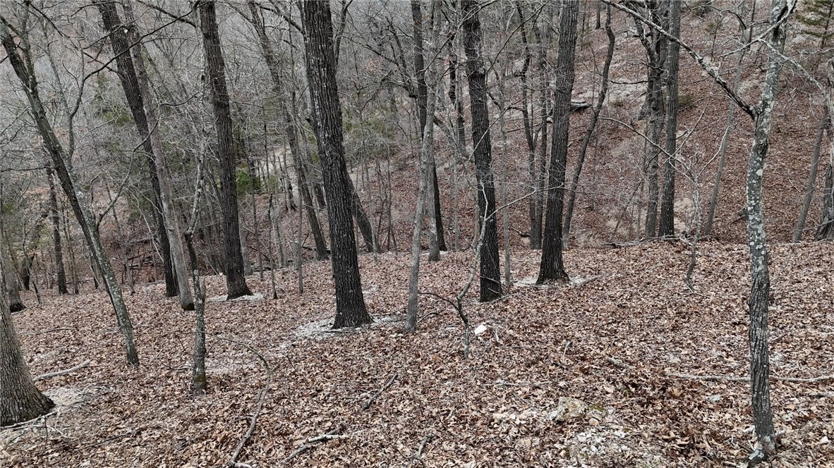 Moulder Hollow Sec V Rurban - Land