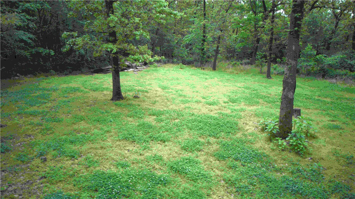 17-18-33-RURAL - Land