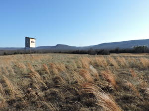 Nice 3 bedroom 2 bath home on 172 acres with an unbelievable view of the surrounding Ozark Mountains. A bedroom, bath and utility room were added on in 2015, along with a new metal roof, new central heat and air, and new septic system. Open floor plan. Wood burning fireplace. Nice kitchen with tile floors in kitchen, baths and utility room. Nice blend of pasture and woods. Mostly fenced. 3 ponds. Lots of wildlife-deer and turkey. Good access. Near Harrison and a view you won't believe!