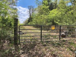 Corp Frontage on Bull Shoals Lake. 19.64 acres with seasonal creek, easy walk to the lake. Several building sites. Winter view of the lake. If you are looking for property on the lake this is it.