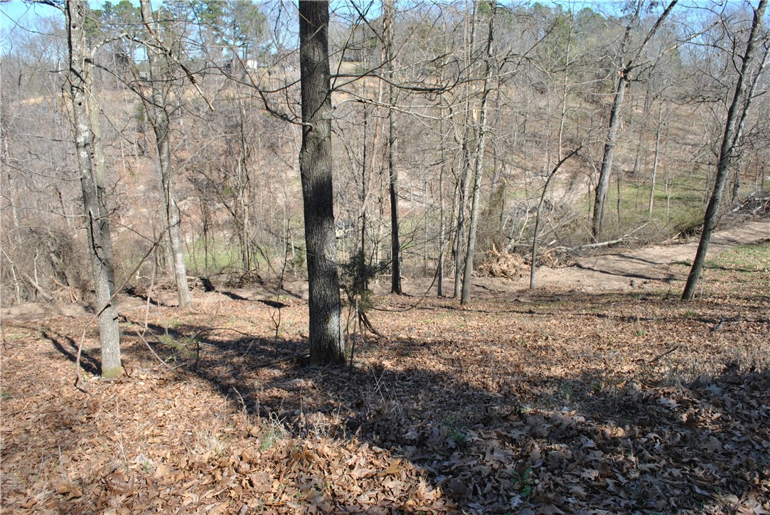 Tanglewood Resort 2 Rurban - Land