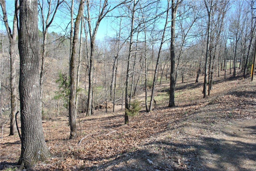 Tanglewood Resort 2 Rurban - Land