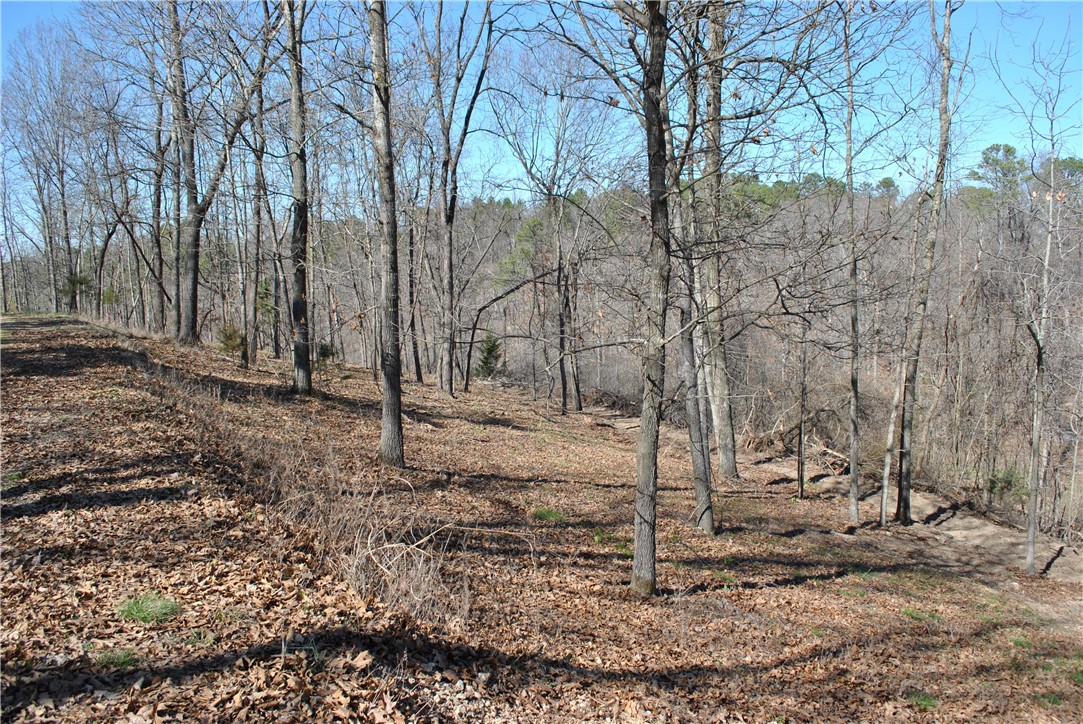 New survey April 2024 ! Build your lake area cabin on this wooded lot in the Rocky Branch Resort area ! About a mile and a half from public boat launch at Rocky Branch State Park and Marina. Nearby Hobbs State Park hiking and biking trails, War Eagle Mill and Caverns. Electricity runs along East Robin Road and seller is planning on creating an easement across the top of the lots to facilitate municipal water access from Rocky Branch Road. Taxes shown are for the entire 4.22 acre parcel. Additional lots available