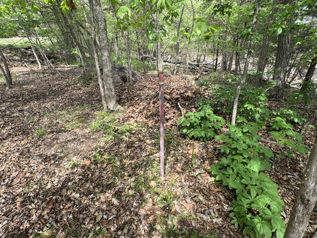 Holiday Island - Land