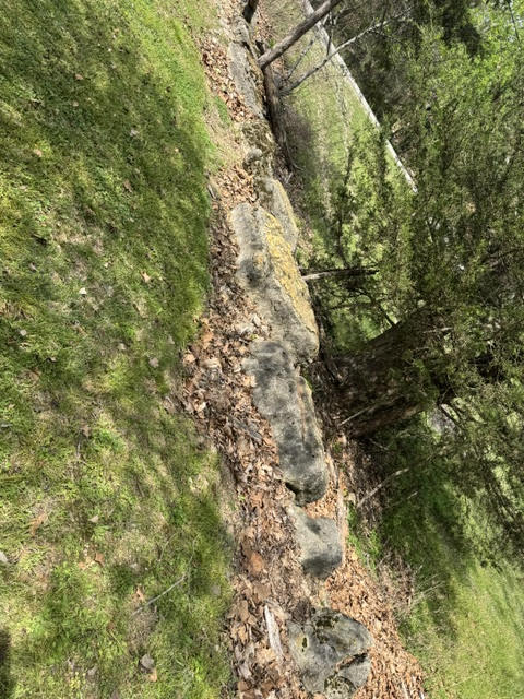 Holiday Island - Land