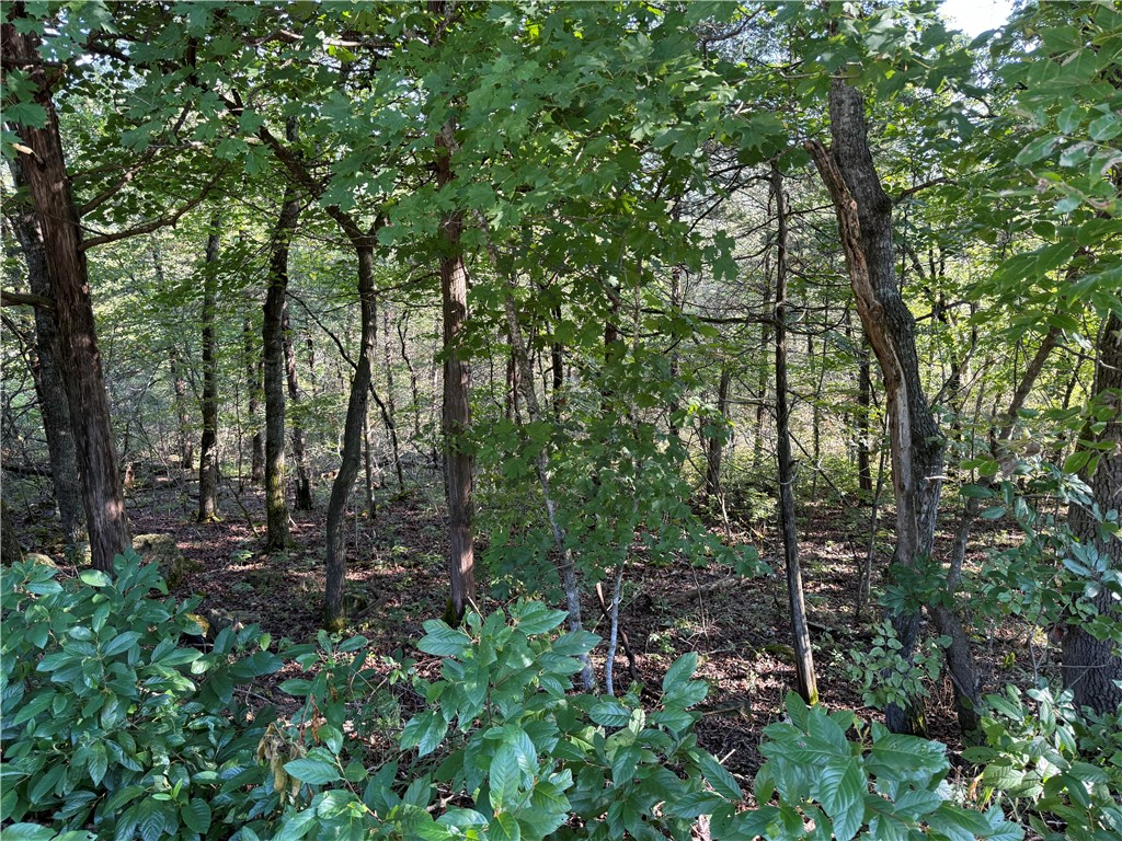 Privacy, views, and resort-style living just minutes from Eureka Springs.
Nestled on a quiet cul-de-sac with only one neighboring home, this lot offers both privacy and a touch of mountain view from its east-facing backyard. Residents enjoy access to fantastic amenities, including a marina on beautiful Table Rock Lake, swimming pools, pickleball courts, and both a 9-hole executive golf course and an 18-hole championship course. Just minutes from shopping, dining, and only a few miles north of historic Eureka Springs, itās an ideal place to build your getaway or forever home.