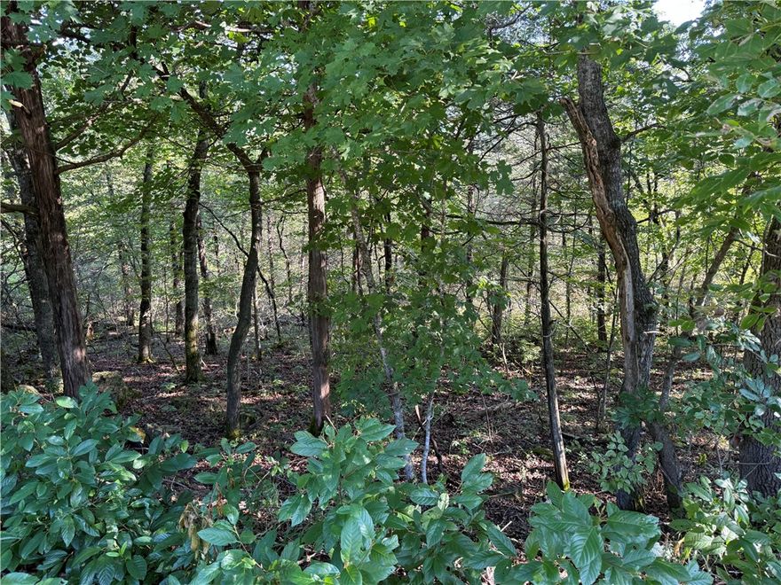 Privacy, views, and resort-style living just minutes from Eureka Springs.
Nestled on a quiet cul-de-sac with only one neighboring home, this lot offers both privacy and a touch of mountain view from its east-facing backyard. Residents enjoy access to fantastic amenities, including a marina on beautiful Table Rock Lake, swimming pools, pickleball courts, and both a 9-hole executive golf course and an 18-hole championship course. Just minutes from shopping, dining, and only a few miles north of historic Eureka Springs, it’s an ideal place to build your getaway or forever home.