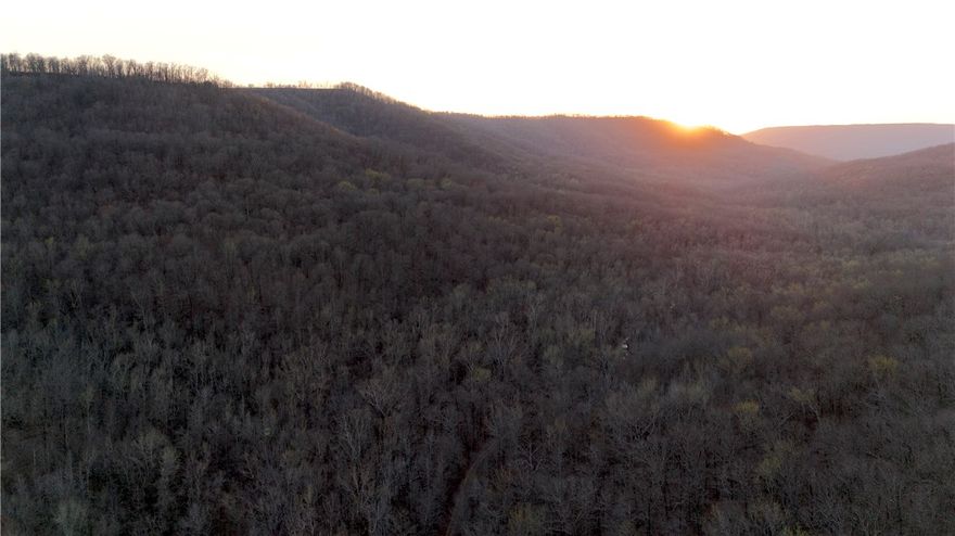 If you'd rather skip the country and head straight into the wild, this 40+/- acre tract is calling your name. Surrounded by thousands of acres of Ozark National Forest, it's a rare find with great access to outdoor adventure. Just a few miles away (as the crow flies), you'll find favorites like White Rock Mountain, Mill Creek OHV trails, Pig Trail Café, and more.

Frog Bayou runs along the north side—perfect for camping, relaxing, or cooling off by the water. Small waterfalls add that peaceful cascading sound. With surrounding National Forest, the property hunts big for its size, with tons of wildlife sign—deer, turkey, hogs, and even black bear. A wet-weather creek starts on the south end and feeds into Frog Bayou, drawing game year-round.

This is an opportunity for someone to own a true piece of wilderness. These places are becoming more & more rare. This property when combined with the adjoining public land has the size & capability to host large hunting camps and parties for years to come. Don't miss out!