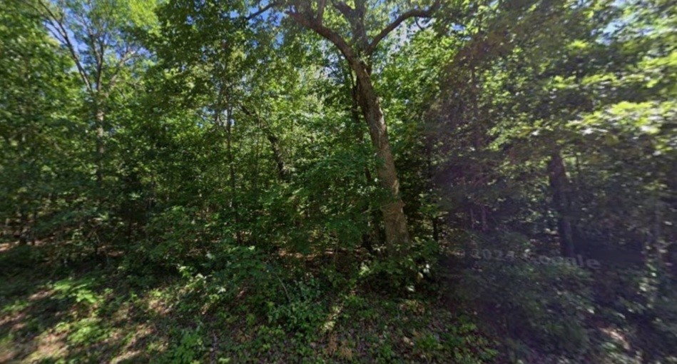 Seneca Second - Land