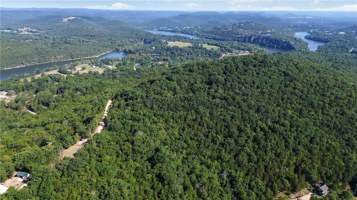40 Acres of Paradise
Once in a lifetime opportunity to own 40 acres of virtually untouched land in the heart of the Ozark Mountains, overlooking the pristine White River. Tucked away at the end of a quiet dirt road, this private slice of heaven is the perfect canvas for your dream estate home. Additional 5 acres bumps up to it MLS listing 1317518. Buy together or separate.
Just steps from the charming community of Beaver, Arkansasāhome to the historic āLittle Golden Gateā bridgeāthis property offers the best river adventures. Spend your days boating upstream for world-class trout and walleye fishing, or explore the nearby Mark Twain National Forest.
Nature lovers will appreciate the towering hardwoods, serene cedar glades, and panoramic river and mountain views. Here, the only limits are the ones you setācreate a private retreat, hunting getaway, or forever home in one of Arkansasās most scenic settings.
This rare property is restricted only by your dreamsādonāt miss your chance to make it yours.