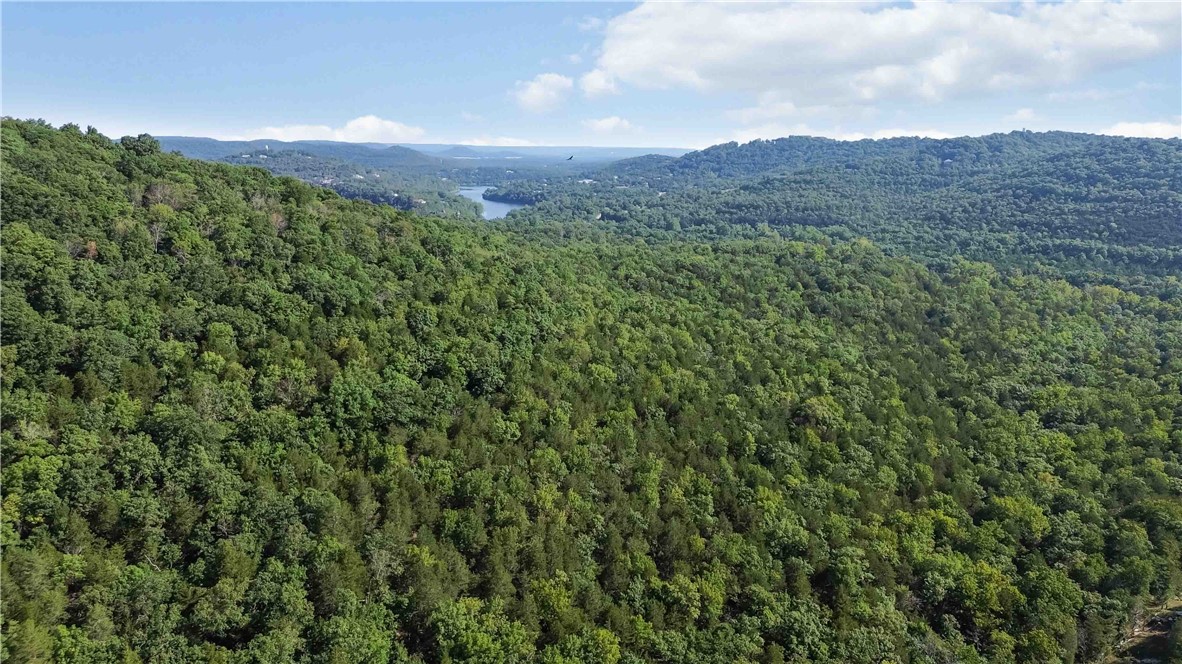 40 Acres of Paradise
Once in a lifetime opportunity to own 40 acres of virtually untouched land in the heart of the Ozark Mountains, overlooking the pristine White River. Tucked away at the end of a quiet dirt road, this private slice of heaven is the perfect canvas for your dream estate home. Additional 5 acres bumps up to it MLS listing 1317518. Buy together or separate.
Just steps from the charming community of Beaver, Arkansasāhome to the historic āLittle Golden Gateā bridgeāthis property offers the best river adventures. Spend your days boating upstream for world-class trout and walleye fishing, or explore the nearby Mark Twain National Forest.
Nature lovers will appreciate the towering hardwoods, serene cedar glades, and panoramic river and mountain views. Here, the only limits are the ones you setācreate a private retreat, hunting getaway, or forever home in one of Arkansasās most scenic settings.
This rare property is restricted only by your dreamsādonāt miss your chance to make it yours.