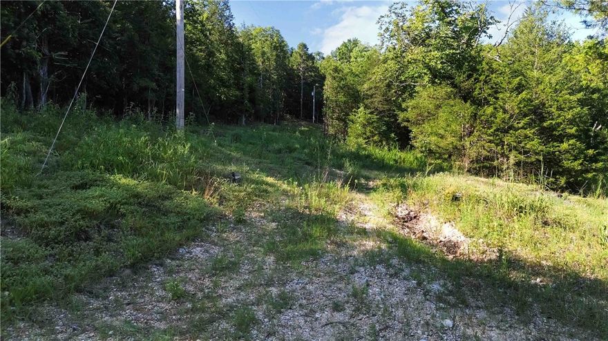 Don’t miss your chance to own your own piece of Ozark paradise.
36.80 Acres of Ozark Beauty – End-of-Road Privacy with Well & Survey
Discover 36.80 acres of breathtaking, surveyed land tucked away at the end of a quiet road—offering the privacy and peaceful setting you’ve been searching for. This stunning property features a well already in place and provides the perfect foundation to build your dream home, weekend retreat, or hunting getaway.
Located in the heart of the Ozark Mountains near Eureka Springs, this property is just minutes from the charming historic community of Beaver—home of the iconic Beaver Bridge.
Surrounded by natural beauty, you’ll enjoy mature hardwood trees, peaceful cedar glades, and scenic mountain views. With close proximity to Mark Twain National Forest, outdoor adventures like hiking, fishing, and exploring are right at your doorstep.
Whether you're dreaming of a private estate, a serene getaway, or an investment in land, this rare property offers endless possibilities.