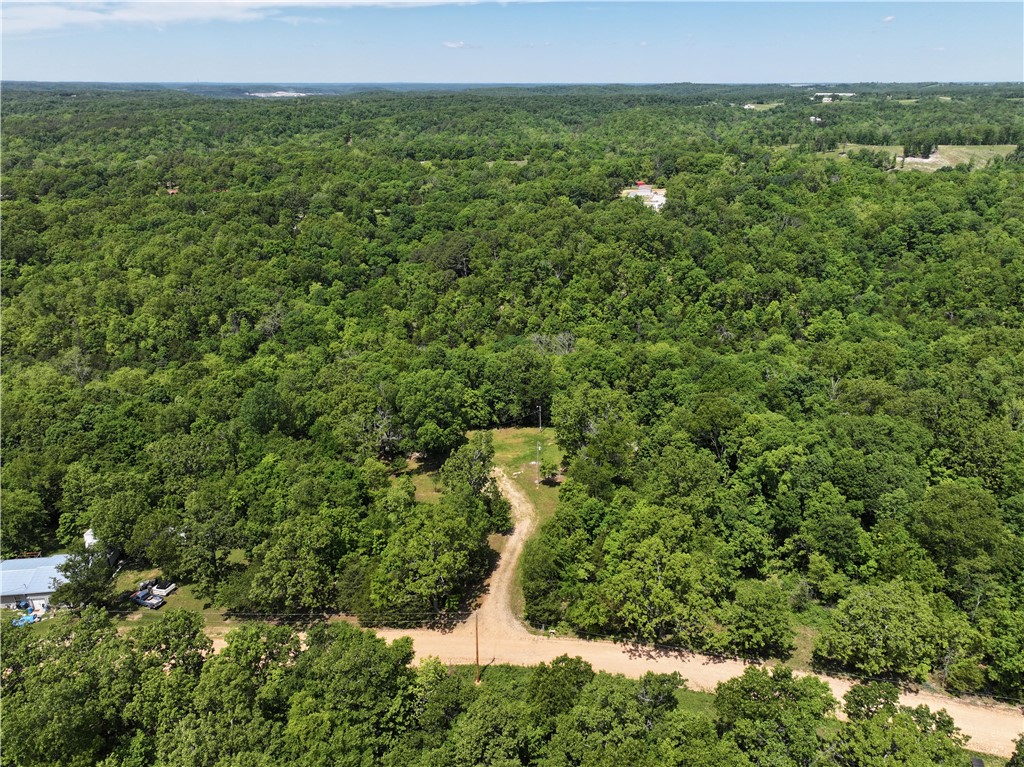589 Hickory Lane