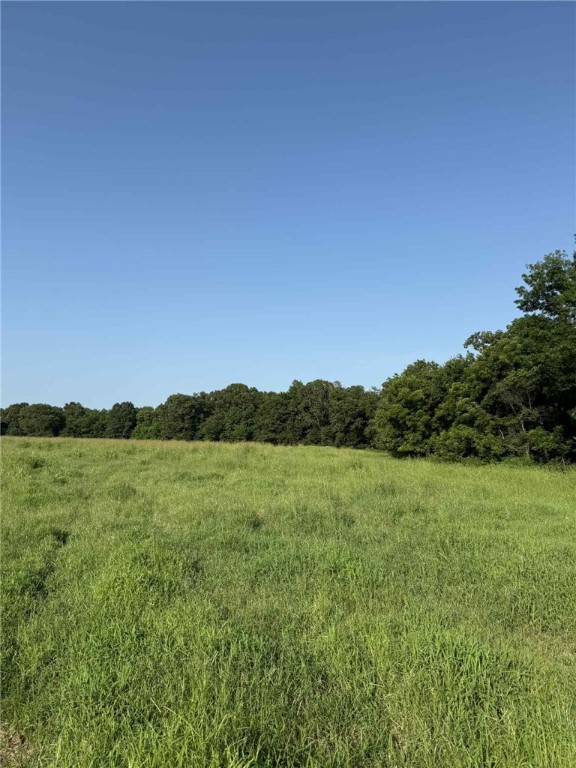 Don’t miss this incredible opportunity to own approximately 25 acres of beautiful pasture and mature woods—ideal for your dream home, hobby farm, or private hunting getaway. Peaceful and private, yet full of potential! Property is currently landlocked, but an easement will be provided. Owner financing available with acceptable terms. Call today for more details!
100 acres available see MLS 1315040, 24 acres and house MLS 1315401