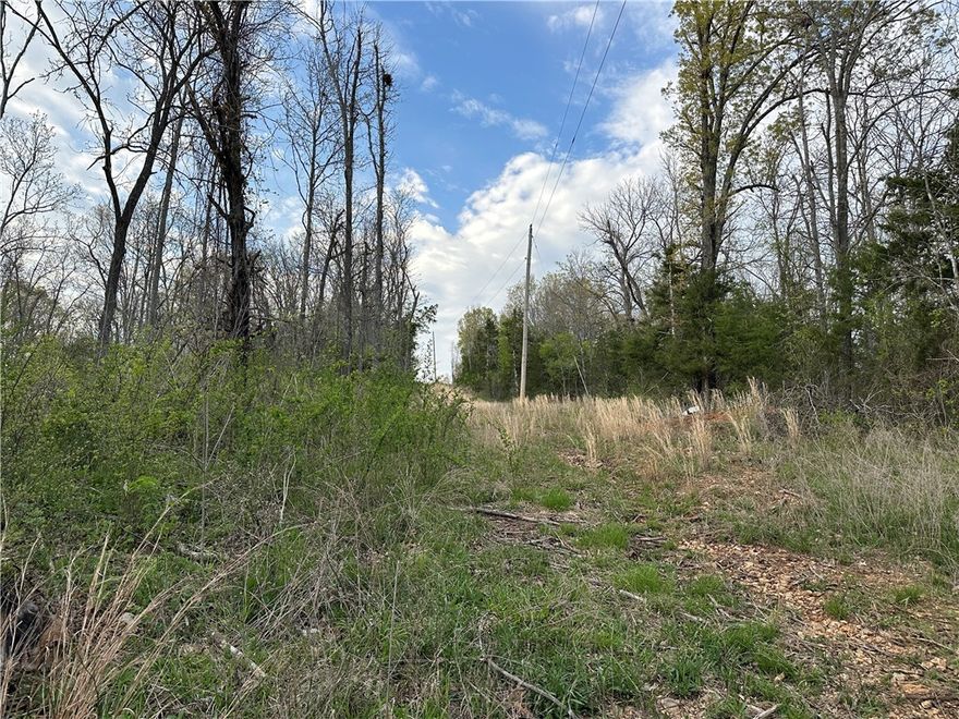 Discover 18 acres of Ozarks beauty tucked away at the end of a dead-end road in Pyatt, Arkansas. This peaceful, private property features a nice year-round creek, unique rock formations, and a natural setting perfect for hunting, exploring or just unplugging from it all. Two older mobile homes sit on the property and need significant TLC, but with electric service already in place and a new well drilled in 2023, the basics are here to get you started. Whether you're looking to restore, build or simply use it as a weekend retreat, this property offers a solid foundations and endless potential. Great for deer hunting, hiking, or living off the grid! Come see the beauty and quiet this place has to offer!