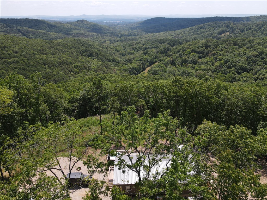 Mo Ark View Estates - Residential