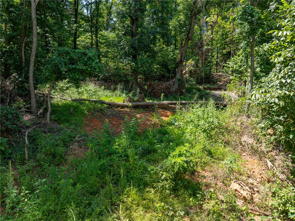 Build Your Dream Home in the Ozarks! Tucked in the wooded hills of Mountainburg and just 2.5 miles from Lake Fort Smith, this sloped, wooded property offers the perfect blend of seclusion and accessibility. With the driveway easement being off of Highway 71 frontage, yet surrounded by nature—this makes it an ideal spot for a peaceful cabin, off-grid living, or weekend escape. The current owners have already started the vision: A gravel driveway has been installed as well as a cleared area and home site pad has been started. While nature has started to reclaim some of it with overgrowth, the path is still accessible—possibly with 4-wheel drive, or simply park and enjoy a short hike in. This property is full of potential and natural beauty. If you're looking for a unique place to build in the Ozarks with a head start on development, this could be your perfect match! Aerial images coming soon! Ask for pin drop to get to property and look for sign.