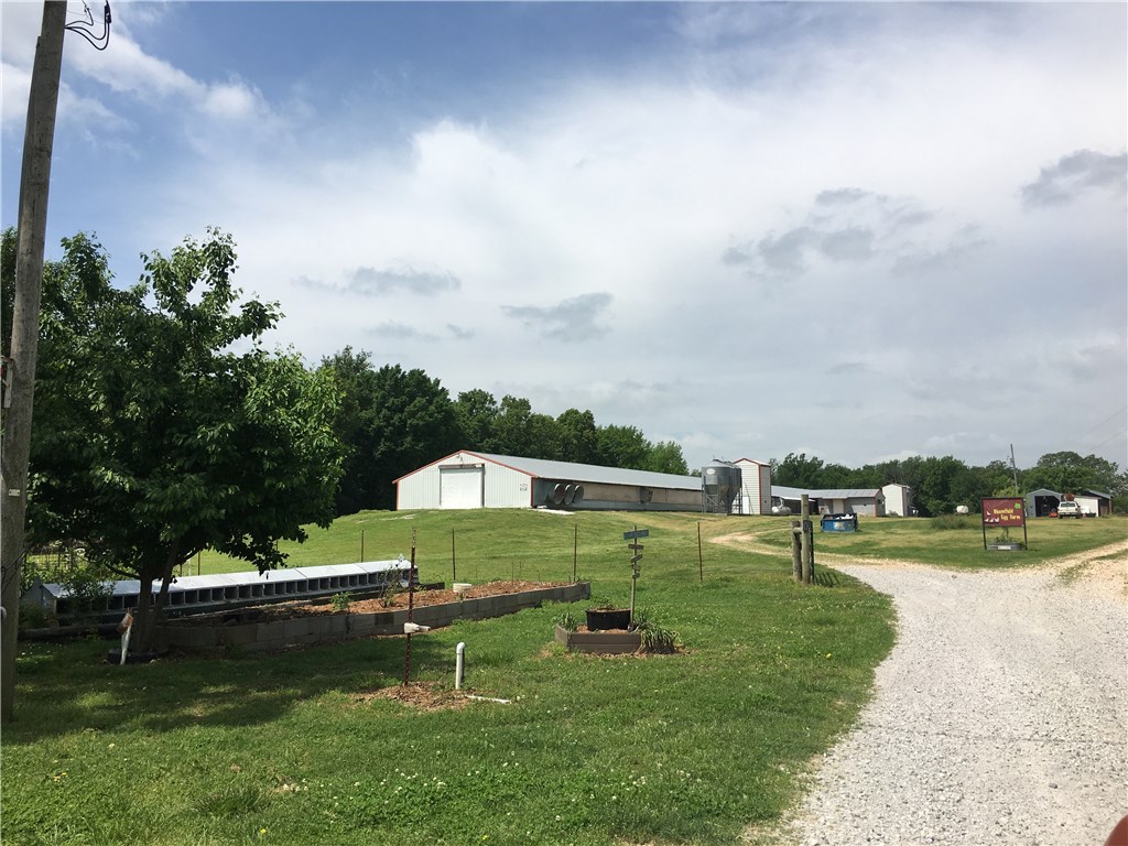 Rural - Farm