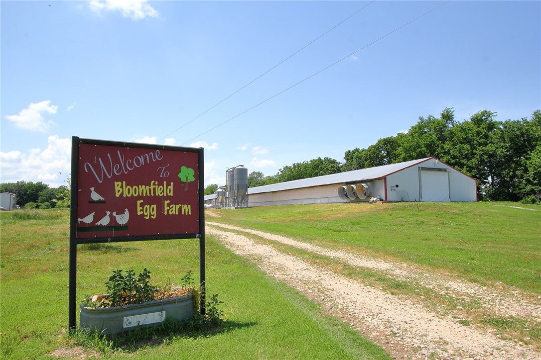 Rural - Farm