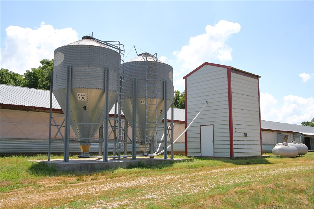 Rural - Farm