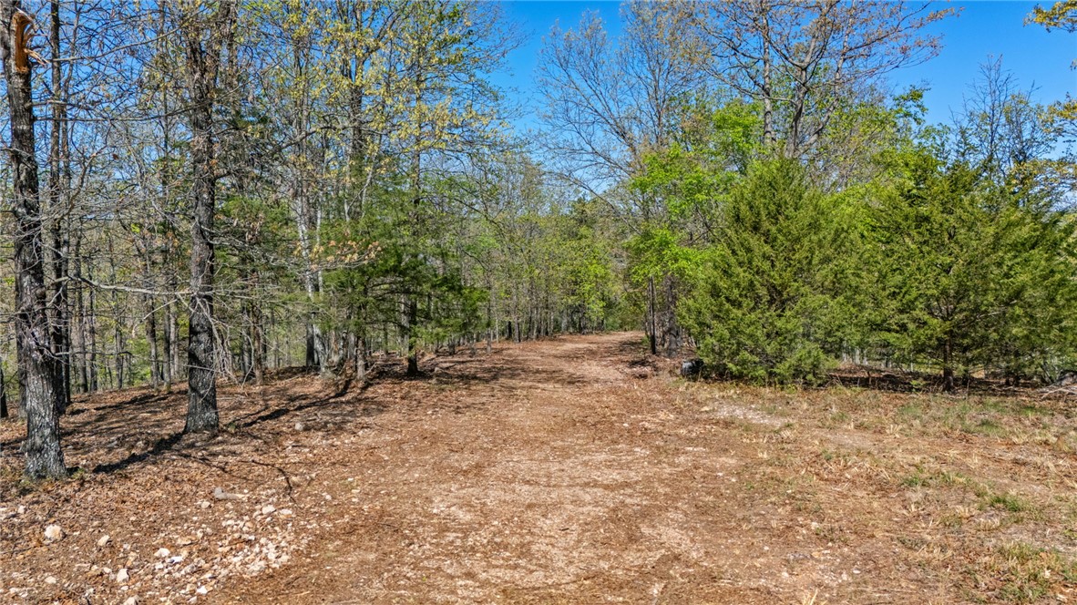 36-19-29 RURAL - Land