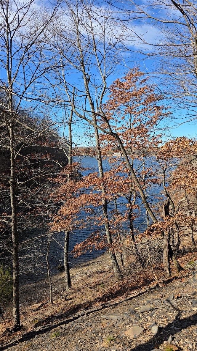 36-19-29 RURAL - Land