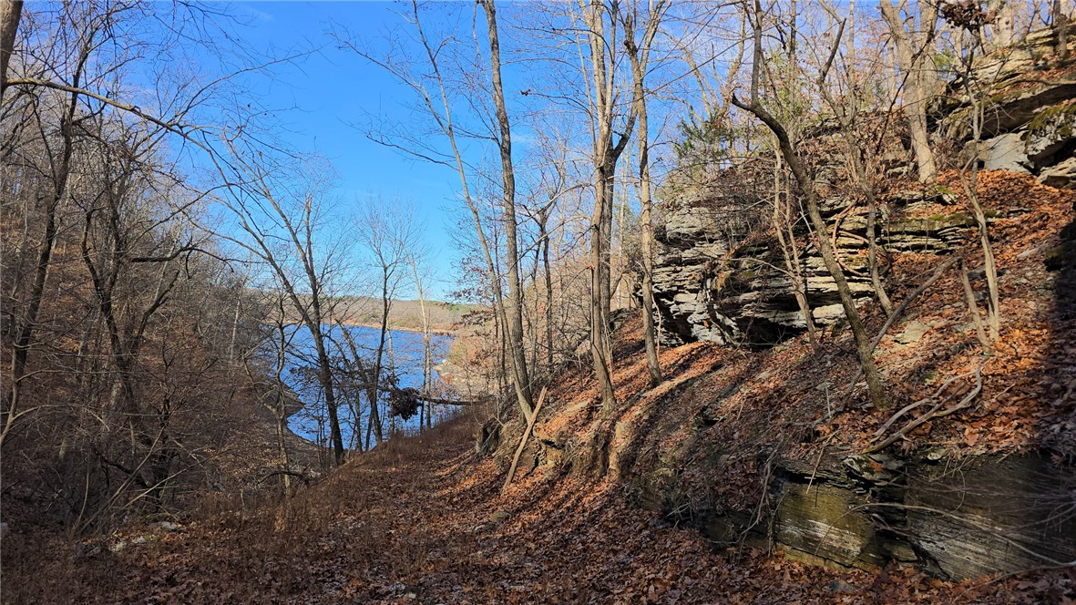 36-19-29 RURAL - Land