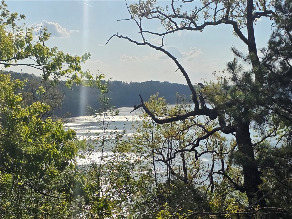 36-19-29 RURAL - Land