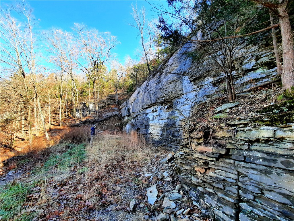 36-19-29 RURAL - Land