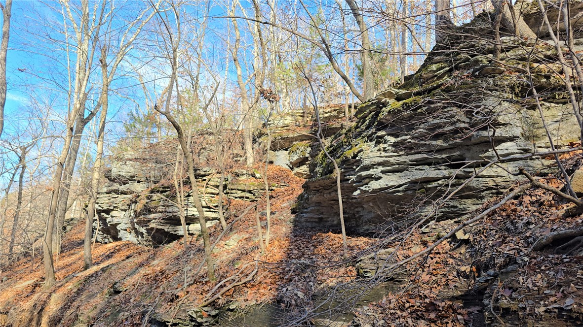 36-19-29 RURAL - Land