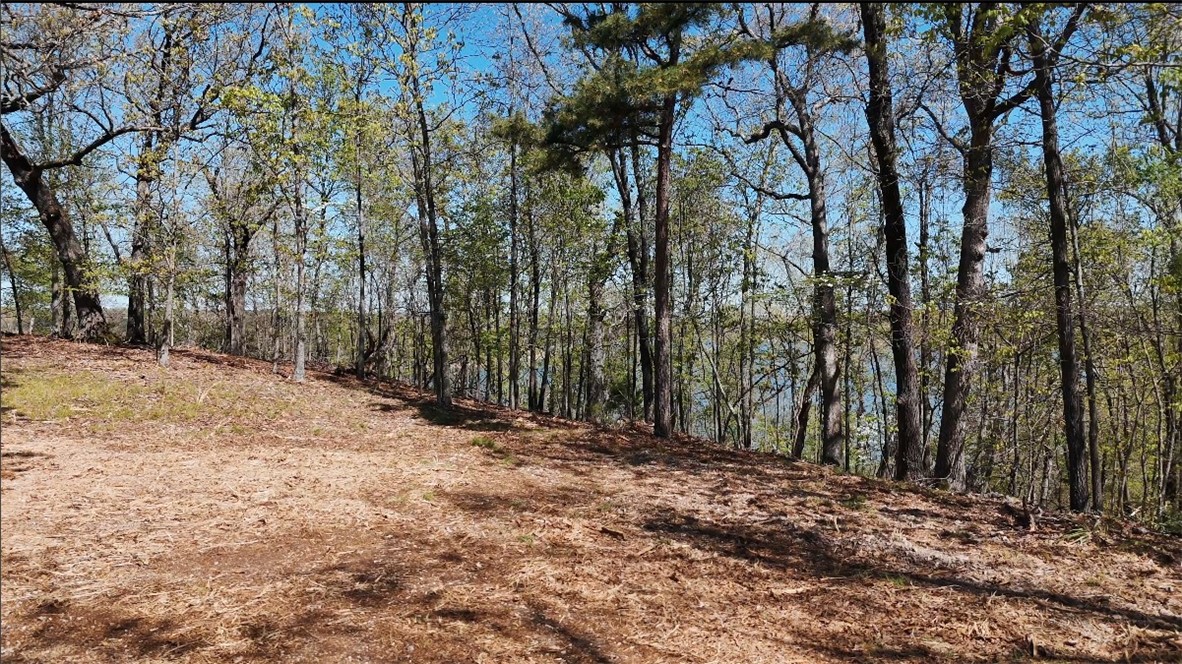 36-19-29 RURAL - Land