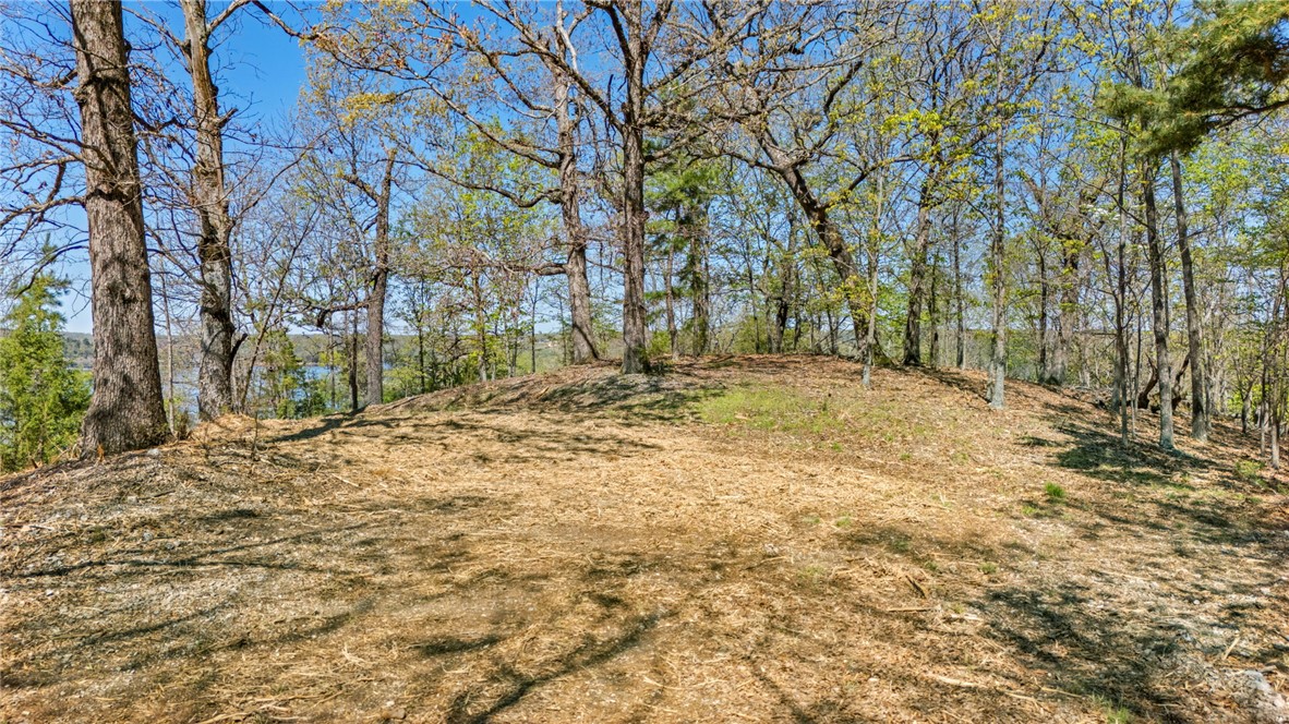 36-19-29 RURAL - Land