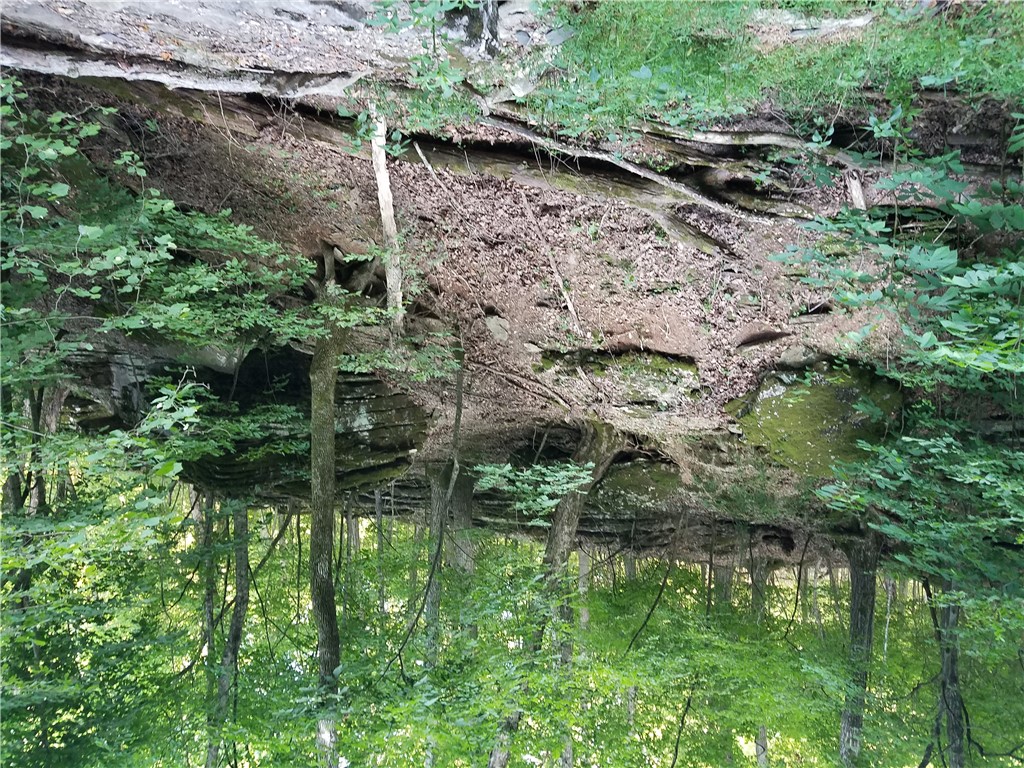 36-19-29 RURAL - Land