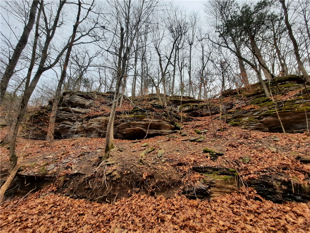 36-19-29 RURAL - Land