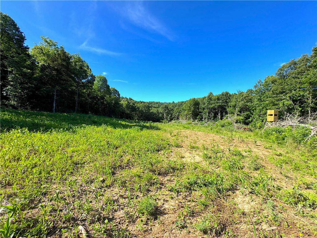 This beautiful 120-acre tract is located off Madison County Road 5390 and offers a perfect blend of seclusion, natural beauty, and outdoor opportunity. The property is heavily wooded with mostly marketable hardwoods and features a scenic wet-weather creek that winds through the landscape. A network of established trails spans the propertyāsome accessible by vehicle, others best navigated by UTVāmaking it ideal for exploring, hunting, or just enjoying nature. Two cleared areas have been established for food plots, attracting an abundance of wildlife including deer, turkey, and even black bear. A rustic fixer-upper cabin sits on the property, offering potential for a weekend retreat or hunting camp. Electric service is already in place, providing a great foundation for future improvements. Whether you're looking for a private getaway, a hunting property, or long-term investment, this land has it all. Donāt miss your chance to see it in personāitās a must-see! More or less acreage available.