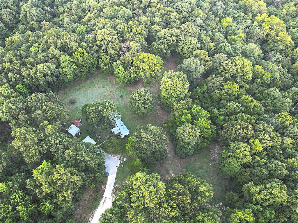 This stunning Benton County property offers a perfect combination of seclusion and
accessibility, situated at the end of a quiet dead-end road just outside Pea Ridge, AR. Enjoy
the convenience of quick trips to the metro area while embracing a peaceful country lifestyle.
Equipped with public water, electricity, a generator, and a septic system, the land features a
mix of open spaces and towering timber, making it an ideal setting for your dream home or a
family homestead.
As you approach the property, you'll find a two-bedroom, two-bath mobile home accompanied
by several outbuildings, storm shelter, and a small garden area. The landscape beautifully
merges open fields with mature oak trees, providing endless opportunities for usability and
expansion. An ATV trail through the woods leads to a seasonal creek that runs through the
property ideal for wildlife and setting up tree stands. Additional trails can easily be carved into
the timber for accessibility of the entire perimeter.